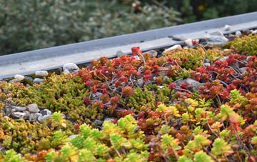 the cost of Sturminster Common green roof installation