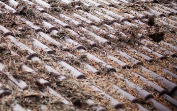 Sturminster Common roof cleaning companies