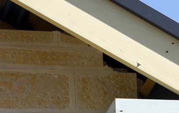 soffit repair Sturminster Common